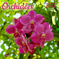 Picture of Calendrier Orchidées 2024