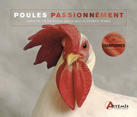Image de Poules passionnément