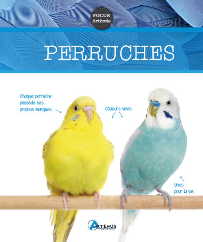 Picture of Perruches
