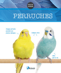Picture of Perruches