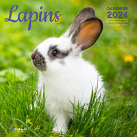 Picture of Calendrier Lapins 2024