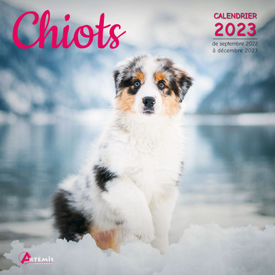 Image de Calendrier chiots 2023