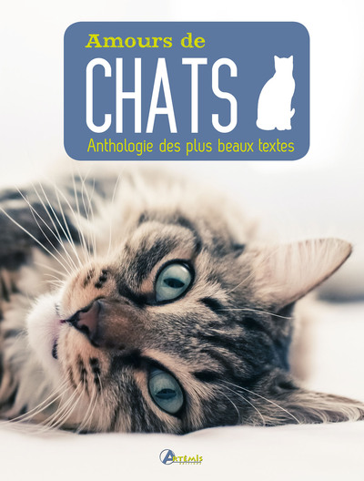 Picture of Amours de chat