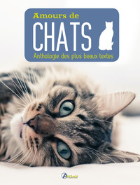 Picture of Amours de chat