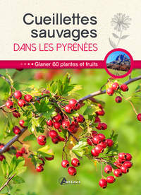 Picture of Cueillettes sauvages dans les Pyrénées