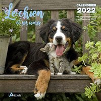 Picture of Calendrier Le chien et ses amis 2022