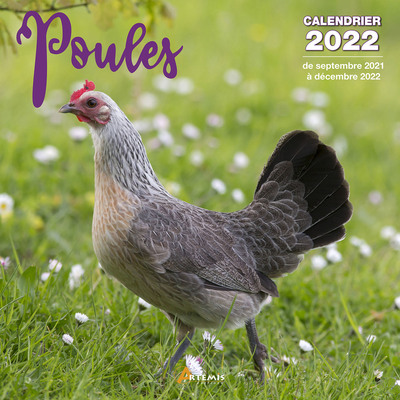 Picture of Calendrier Poules 2022