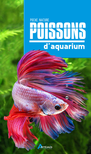 Image de Poissons d'aquarium