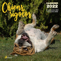 Picture of Calendrier Chiens rigolos 2022