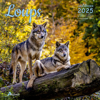 Picture of Calendrier Loups 2025