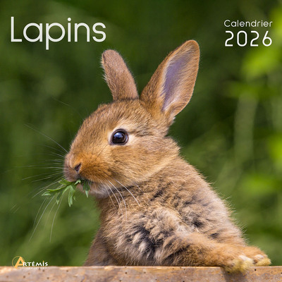 Picture of Calendrier lapins 2026