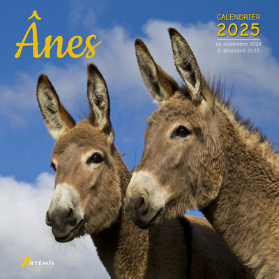 Picture of Calendrier Ânes 2025