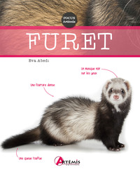 Picture of Furet