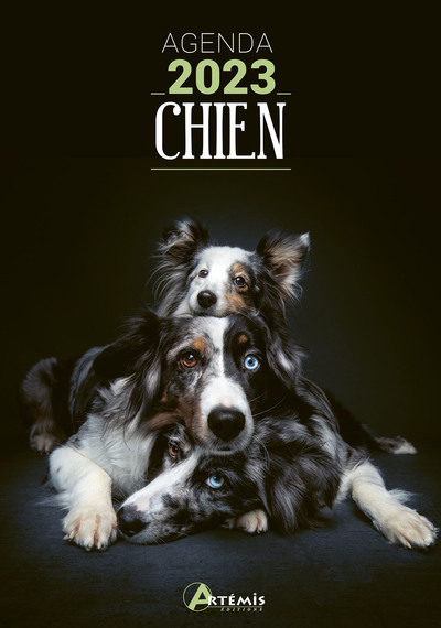 Image de Agenda 2023 chien