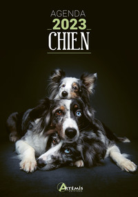 Image de Agenda 2023 chien