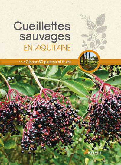 Image de Cueillettes sauvages en Aquitaine