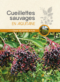 Image de Cueillettes sauvages en Aquitaine
