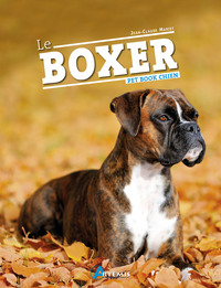 Image de Le boxer