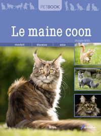 Picture of Le maine coon