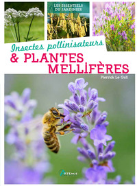 Picture of Insectes pollinisateurs et plantes mellifères