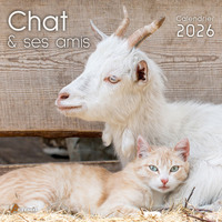Picture of Calendrier le chat et ses amis 2026