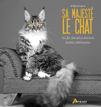 Image de Sa majesté le chat