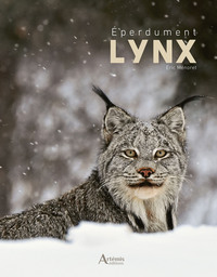 Picture of Eperdument Lynx