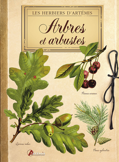 Image de Arbres et arbustes