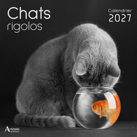 Picture of Calendrier chats rigolos 2027