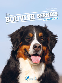 Image de Le bouvier bernois