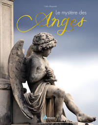 Image de Le mystère des anges
