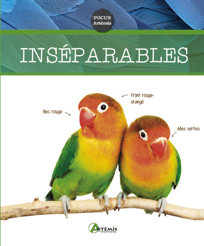 Picture of Inséparables