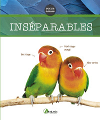 Picture of Inséparables