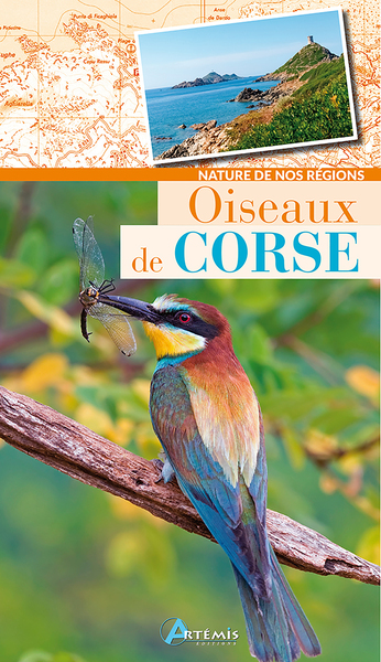 Picture of Oiseaux de Corse