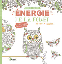 Picture of Energie de la forêt