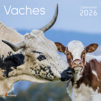 Picture of Calendrier vaches 2026