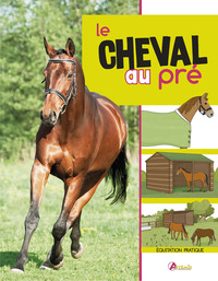 Image de Le cheval au pré