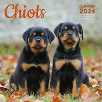 Picture of Calendrier Chiots 2024