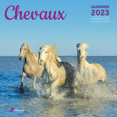 Image de Calendrier chevaux 2023