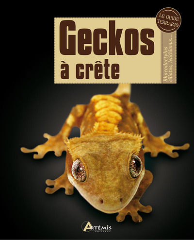 Picture of Geckos à crête