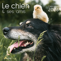 Picture of Calendrier le chien et ses amis 2026