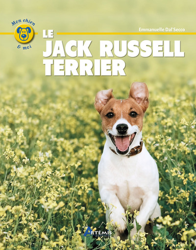 Image de Le jack russell terrier