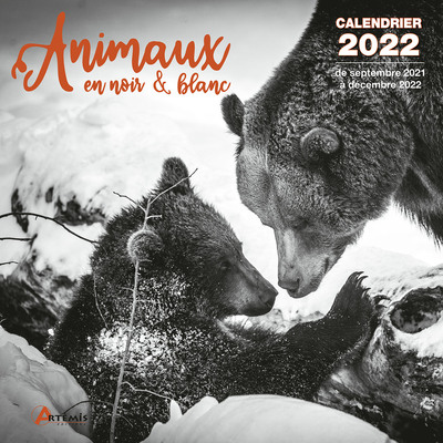 Picture of Calendrier Animaux en noir et blanc 2022