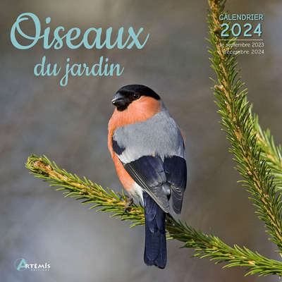Picture of Calendrier Oiseaux du jardin 2024