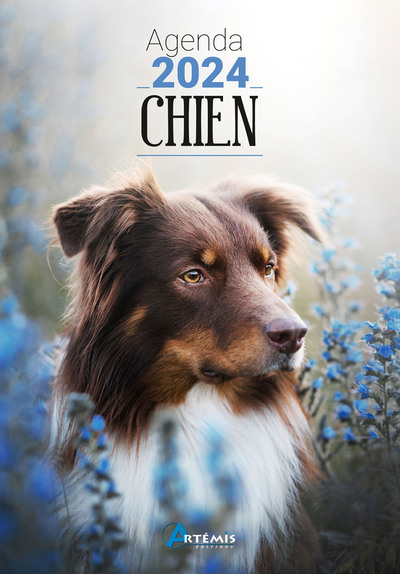Image de Agenda 2024 Chien