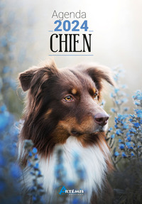 Image de Agenda 2024 Chien