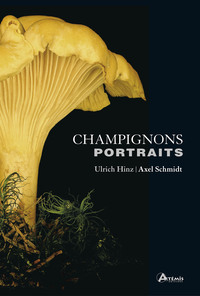 Picture of Champignons. Portraits
