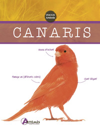 Image de Canaris