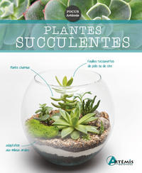 Image de Plantes succulentes