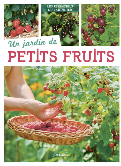 Image de Un jardin de petits fruits